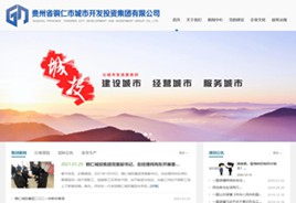 亚东城市开发投资集团有限公司