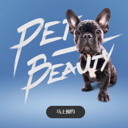 亚东宠物中心小程序开发